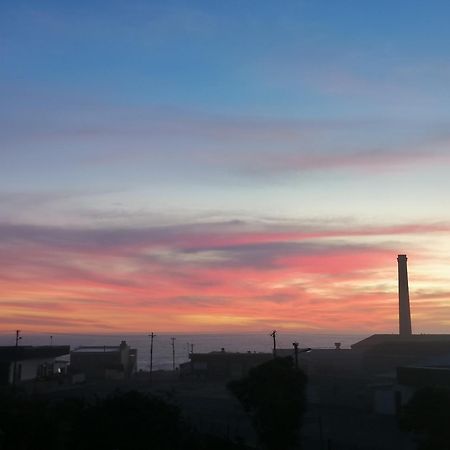 Lambertʼs Bay Bokkomblommetjie מראה חיצוני תמונה