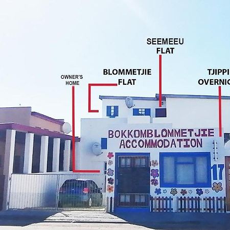 Lambertʼs Bay Bokkomblommetjie מראה חיצוני תמונה