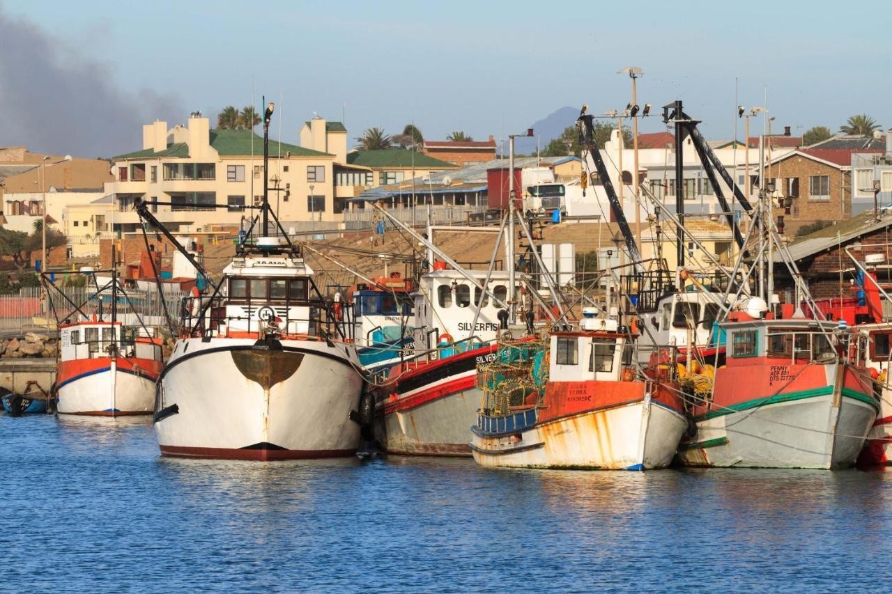 Lambertʼs Bay Bokkomblommetjie מראה חיצוני תמונה