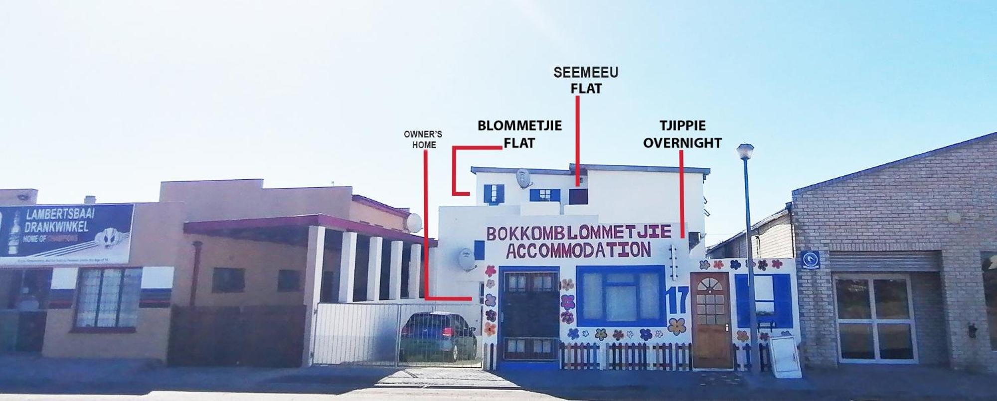 Lambertʼs Bay Bokkomblommetjie מראה חיצוני תמונה